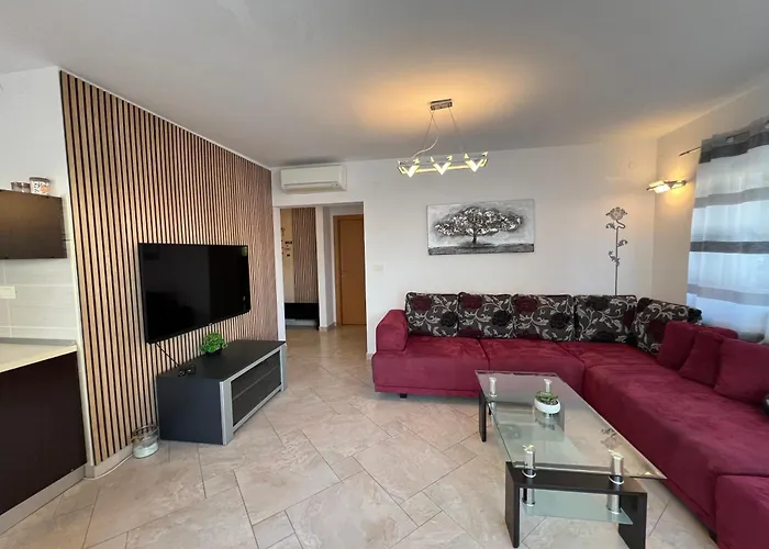 Ana Exclusive 젤사